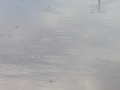 P6250169