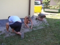 CisteniKoupalisteHasicarnaP1010097