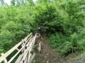 DetskyDen_SAM_1335