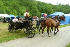 P1150065
