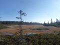 P1090157