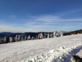 IMG_20190216_084548
