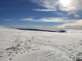 IMG_20190216_105052