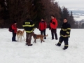 IMG_20190202_111657