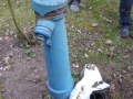 Hydranty_2015_P1050051.JPG