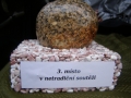 140VyrociJablonecN_J2015P1010214