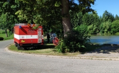 VesniceRoku20193