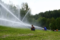 20190601_0704_web