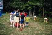 20260530_2394_web