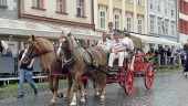 IMG_1687