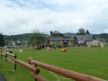 PoharStarostyBenecko2015P1360537